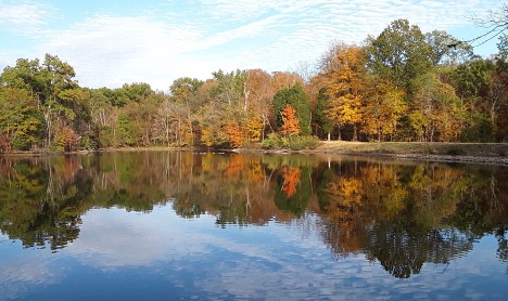 Lake with trees reflected in the water.